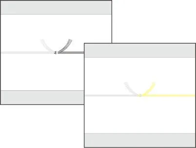 黒白の結び切り(関西は黄白の結び切り)